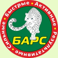 Логотип спортивного клуба БАРС